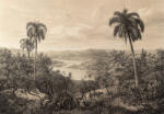 Consalnet Vintage trópusi kép poszter, fotótapéta (200 x 140 cm) (C1-14593VX4)