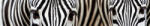 Dimex ZEBRA öntapadós konyhai poszter, 350x60 cm (KI-350-016)