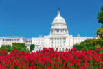 Dimex Vlies Fotótapéta - The Capitol with Flowers - 375x250 cm (MS-5-3000)