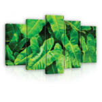 Consalnet Vászonkép 5 darabos, Pálma levél 100x60 cm méretben (C5-12371S17)