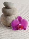 Consalnet Spa Stones poszter, fotótapéta (184 x 254 cm) (C1-146V4A)