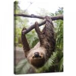 Consalnet Lajhár, vászonkép, 50x70 cm méretben (C5-11858O7)