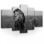 Consalnet Vászonkép, 5 darabos, Oroszlán fekete-fehér 170x100 cm méretben (C5-11760S4A)