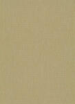 Erismann Aranybarna csík struktúrált tapéta (Fashion for Walls 10376-30) (10376-30)