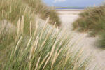 Dimex Vlies Fotótapéta - Sandy dunes - 375x250 cm (MS-5-3210)