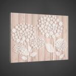 Consalnet Pitypang minta, vászonkép, 60x40 cm méretben (C5-2441O4)