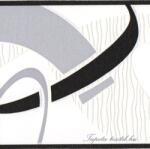 Jász-Iron Fekete-fehér modern mintás bordűr (227-094)