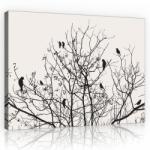 Consalnet Madarak a fán, vászonkép, 60x40 cm méretben (C5-11465O4)