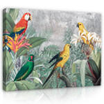 Consalnet Vászonkép, Madarak, 80x60 cm méretben (C5-13646O6)