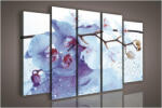 Consalnet Vászonkép, 5 darabos Orchidea 150x100 cm méretben (C5-1004S12)