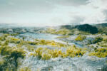 Dimex Vlies Fotótapéta - Fantasy landscape - 375x250 cm (MS-5-1710)