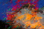 Dimex Vlies Fotótapéta - Abstract marbling art patterns - 375x250 cm (MS-5-2556)