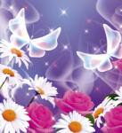 Dimex BUTTERFLY fotótapéta, poszter, vlies alapanyag, 225x250 cm (MS-3-0113)