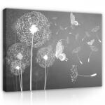 Consalnet Vászonkép, Pitypangok és pillangók, 60x40 cm méretben (C5-3712O4)