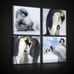 Consalnet Vászonkép 4 darabos, Kutyusok 50x50 cm méretben (C5-10810S20)