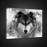 Consalnet Farkas, vászonkép, 60x40 cm méretben (C5-10147O4)