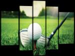 Consalnet Vászonkép, 5 darabos, Golf 170x100 cm méretben (C5-20119S4A)