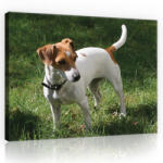 Consalnet Vászonkép, Terrier, 100x75 cm méretben (C5-11371O1)