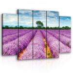 Consalnet Vászonkép, 5 darabos Levendula mező 150x100 cm méretben (C5-11039S12)