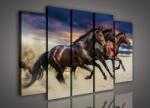 Consalnet Vászonkép, 5 darabos Lovak 150x100 cm méretben (C5-496S12)