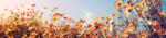 Dimex BEAUTIFUL COSMOS FLOWER öntapadós konyhai poszter, 260x60 cm (KI-260-123)