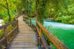 Dimex Vlies Fotótapéta - Board Walk in the Park - 375x250 cm (MS-5-1916)