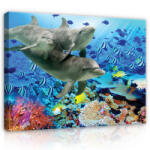 Consalnet Vászonkép, Delfinek, 60x40 cm méretben (C5-116O4)