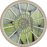 Consalnet Pitypangok vlies poszter, fotótapéta 2098VEZ1 /208x208 cm/ (2098-VEZ1)