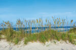 Dimex Vlies Fotótapéta - Grass at the beach - 375x250 cm (MS-5-3220)