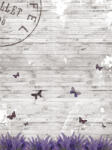 Consalnet Lepkék a falon poszter, fotótapéta (184 x 254 cm) (C1-2241V4A)