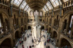 Dimex Vlies Fotótapéta - New Hintze hall - 375x250 cm (MS-5-0941)