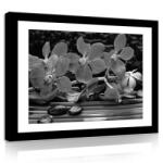 Consalnet Vászonkép, Fekete-fehér orchidea, 60x40 cm méretben (C5-11308O4)