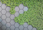 Sverus Fotótapéta 3D Green Vertical Garden , 400 x 260 cm (SV-112932748WM-400X260CM)