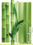 Consalnet Bambusz poszter, fotótapéta (184 x 254 cm) (C1-20411V4A)