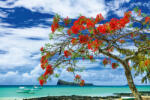 Dimex Vlies Fotótapéta - Tropical paradise - 375x250 cm (MS-5-1791)