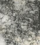 Dimex Természet szürke fotótapéta, poszter, vlies alapanyag, 225x250 cm (MS-3-0361)