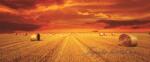 Consalnet Szalmabálák vlies poszter, fotótapéta 446VEEXXL /624x219 cm/ (446-VEE-XXL)