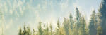 Dimex FOG ABOVE FOREST öntapadós konyhai poszter, 180x60 cm (KI-180-141)