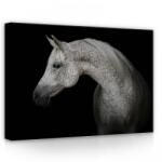 Consalnet Ló, vászonkép, 70x50 cm méretben (C5-13597O7)