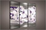 Consalnet Orchidea absztrakt, 3 darabos vászonkép, 90x80 cm méretben (C5-905S6)