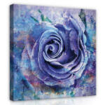 Consalnet Rózsabimbó, vászonkép, 40x40 cm méretben (C5-13485O5)