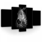 Consalnet Vászonkép, 5 darabos, Zebra 170x100 cm méretben (C5-11767S4A)
