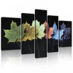 Consalnet Vászonkép, 5 darabos, Színes levelek 170x100 cm méretben (C5-11772S4A)