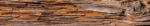 Dimex TREE BARK öntapadós konyhai poszter, 350x60 cm (KI-350-062)