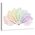 Consalnet Vászonkép, Szines levelek, 100x75 cm méretben (C5-11783O1)