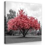 Consalnet Virágzó fa, vászonkép 40x40 cm méretben (C5-11801O5)