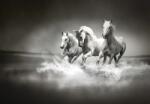 Consalnet Lovak poszter, fotótapéta (208 x 146 cm) (C1-426VEXL)