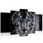 Consalnet Vászonkép 5 darabos, Kék szemű nagymacska /Tigris/ 100x60 cm méretben (C5-10202S17)