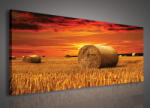 Consalnet Szénabála, vászonkép, 145x45 cm méretben (C5-225O3)