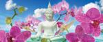Consalnet Buddha vlies poszter, fotótapéta 2141VEP /250x104 cm/ (2141-VEP)